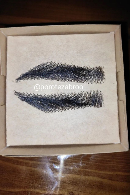 پروتز ابرو پرپشت